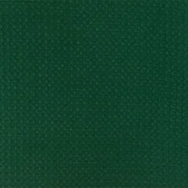 Kelly Green Solid Stretch Polyester Thermal Waffle Knit Fabric