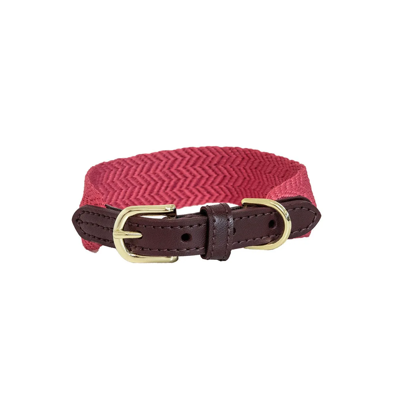 Kentucky Dogwear Jacquard Dog Collar - Pink